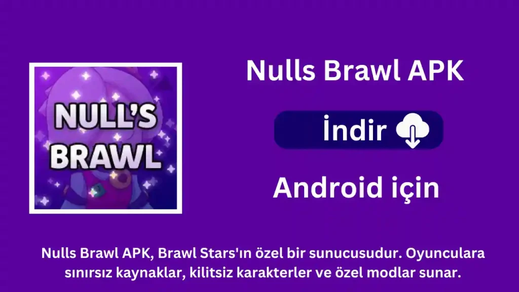 Null's Brawl APK İndir